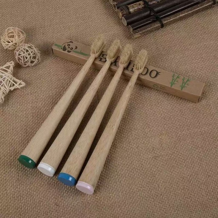 Why Switch to a Bamboo Toothbrush?