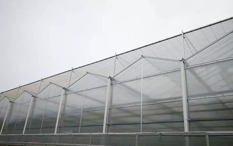 Why Choose a PC Greenhouse? A Smart, Durable Solution for Year-Round Growing