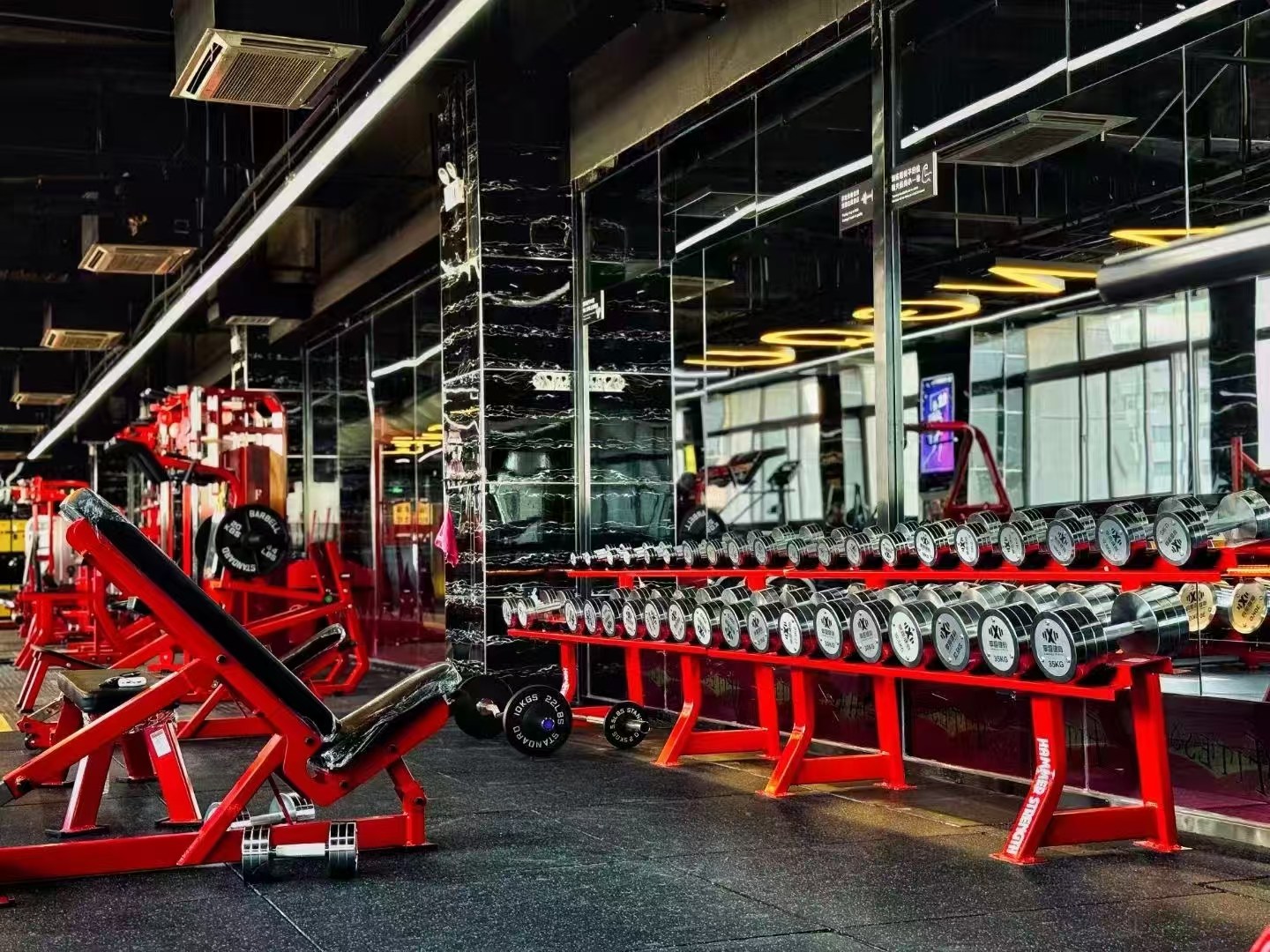 Top 10 Commercial Fitness Machines for Superior Gym Equipment