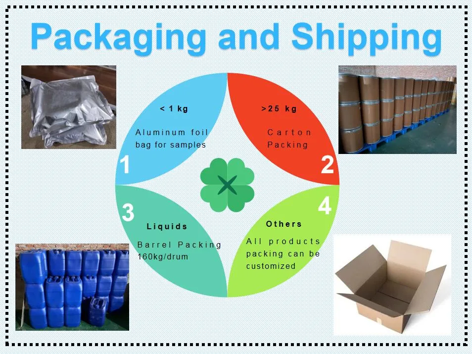 China Factory Supplier CAS 13463-67-7 Titanium Dioxide TiO2 with High Quality